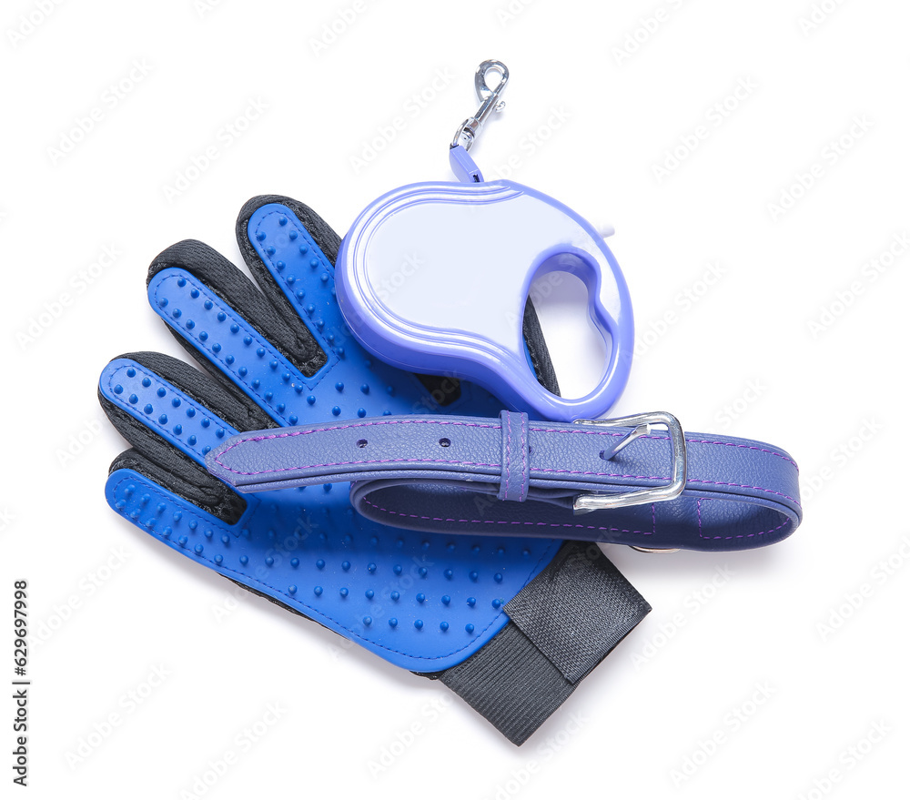 Pet collar, leash and grooming glove on white background Pet collar, leash and grooming glove on white background