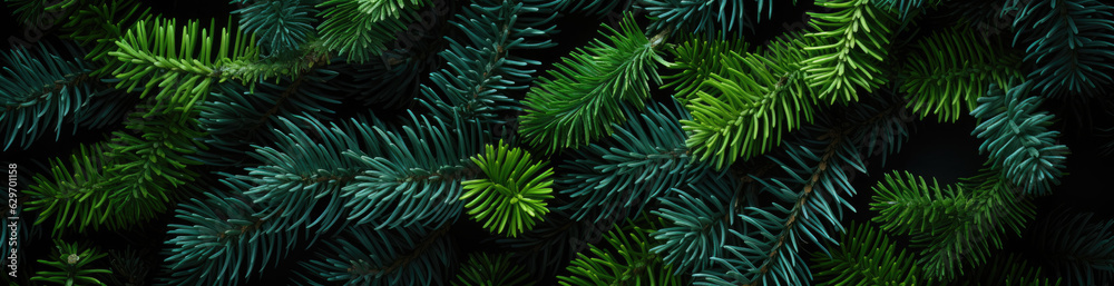 Pine Green , Best Website Background, Hd Background, Background For Computers Wallpaper