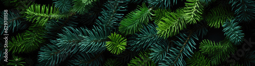 Pine Green   Best Website Background  Hd Background  Background For Computers Wallpaper