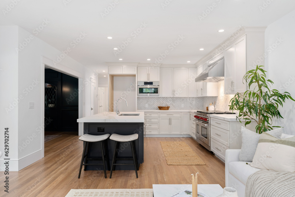 Fototapeta premium Straight shot of navy blue and white kitchen with granite countertops with a high end stove. 