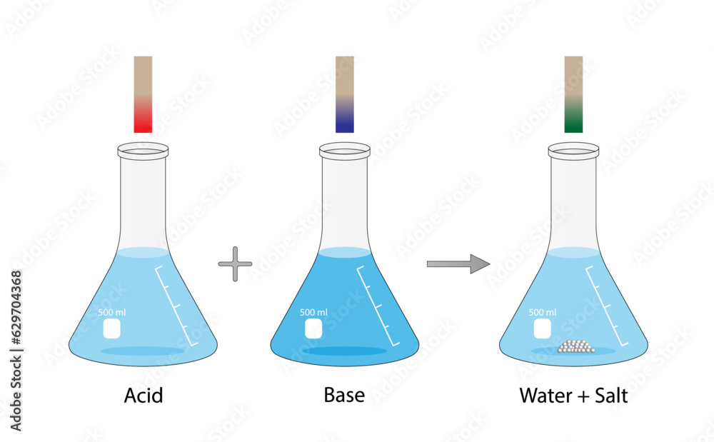 Acidbase reaction. chemical reaction neutralization. HCl hydrochloric