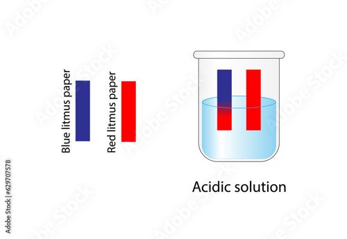 PH paper indicator. Acidic solutions. Color change of blue litmus paper to red for acids. Vector scientific design.