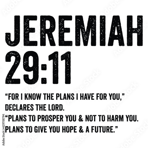 Jeremiah 29:11 For I know the plans I have for you t-shirt design