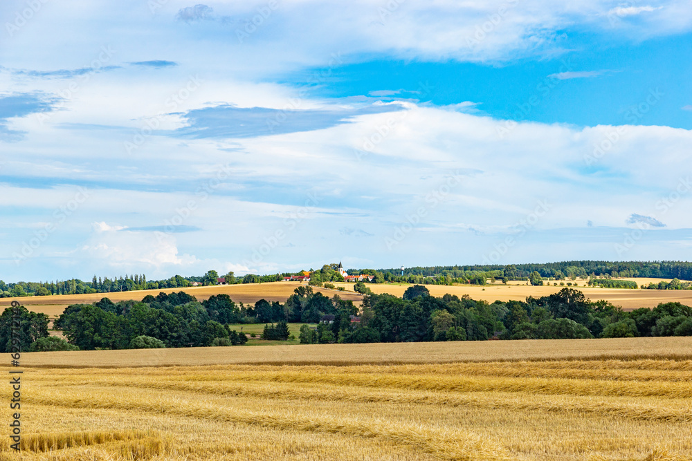 Summer rural landscape with fields and forests