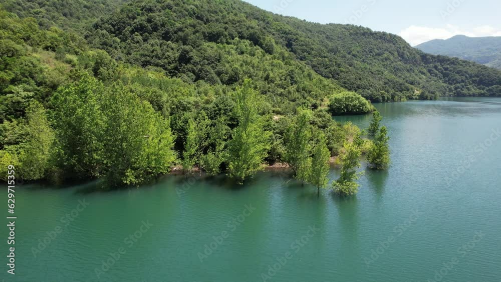 trees in the lake trees in the lake