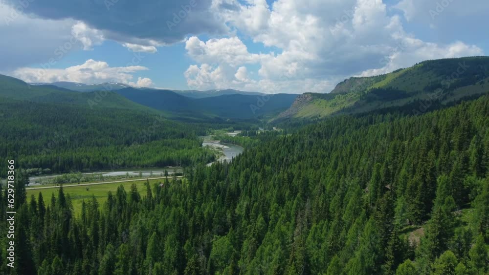 Aerial view of a green mountain landscape where a river flows from the mountains, and a beautiful coniferous forest is spread. High quality 4k footage Aerial view of a green mountain landscape where a river flows from the mountains, and a beautiful coniferous forest is spread. High quality 4k footage