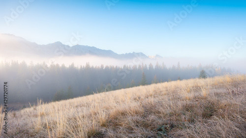 Foggy landscape in the morning. Sunbeams in a valley. Forest and field in a mountain valley at dawn. Sunlight in the forest. Natural panoramic landscape. Alberta, Canada.
