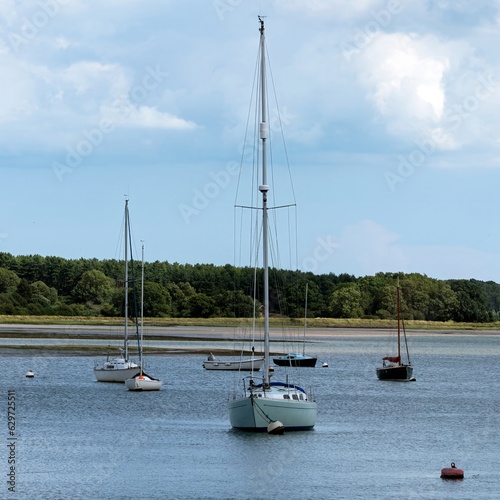 Yachts moored on a calm river