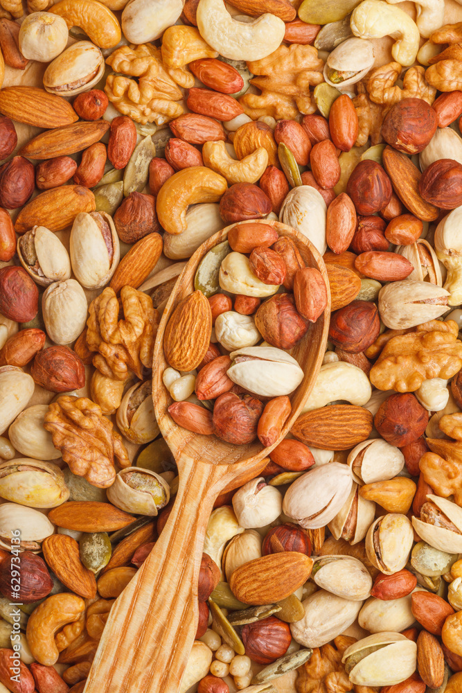Nuts and seeds of different types with a wooden spoon closeup with selective focus - peeled walnut, hazelnuts, peeled peanut, pine nut kernels, almond seeds, cashew seeds, pistachio nuts in the shell