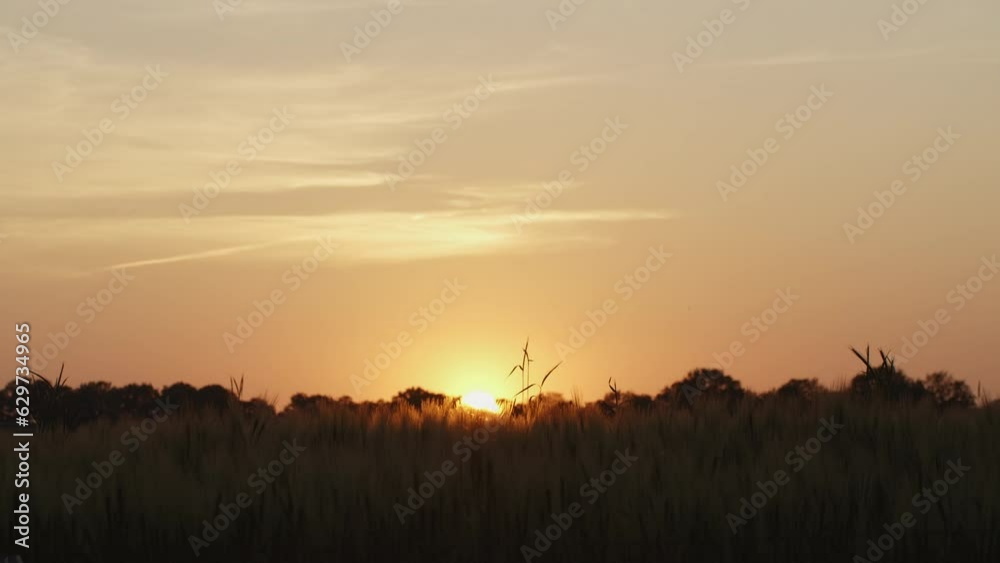 Sunset when sun rays coming over fields in Netherlands Europe during golden hour. Sunset when sun rays coming over fields in Netherlands Europe during golden hour.
