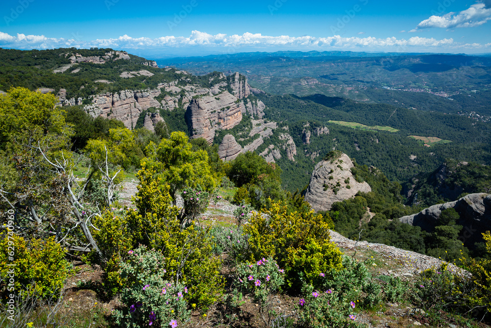 Scenic summer mountain landscape of protected Natural Park de Sant Llorenc del Munt i l Obac in Catalonia, Spain
