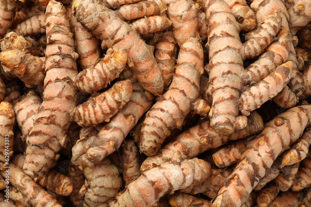 Many raw turmeric rhizomes as background, top view Many raw turmeric rhizomes as background, top view