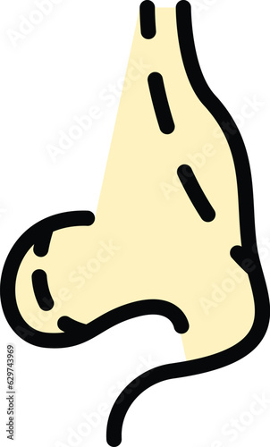 Plastic rhinoplasty icon outline vector. Nose surgery. Body anatomy color flat