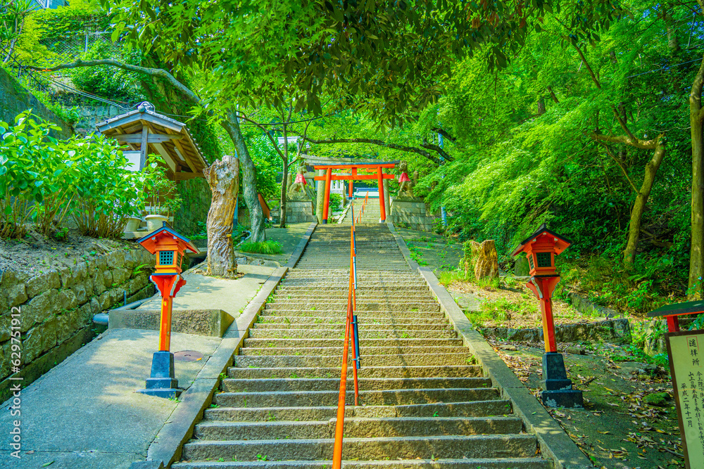 新緑に包まれた赤い鳥居