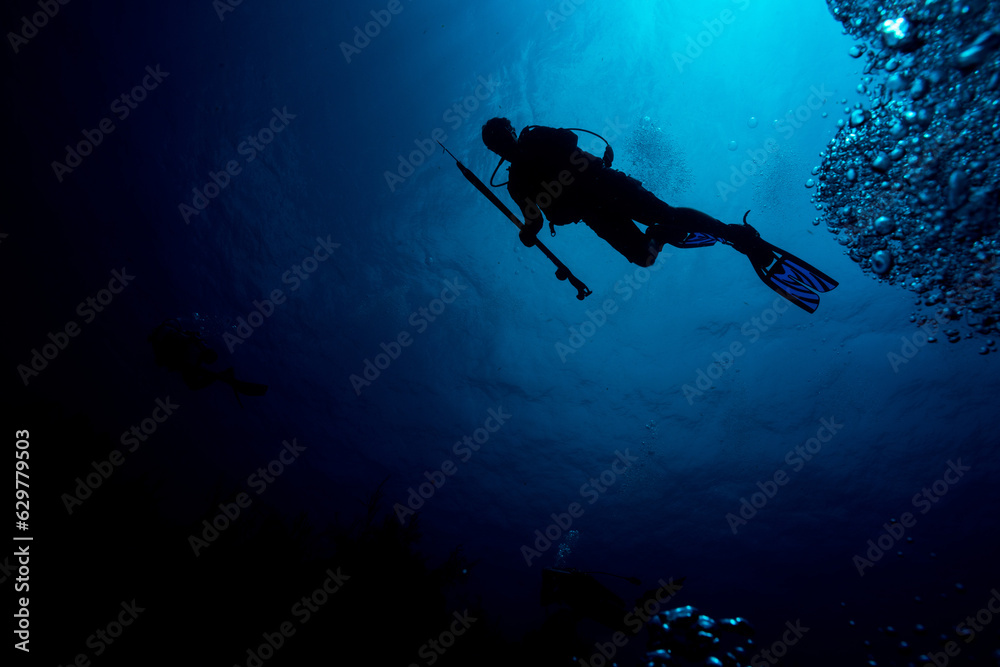 Deep Hunter Deep Hunter