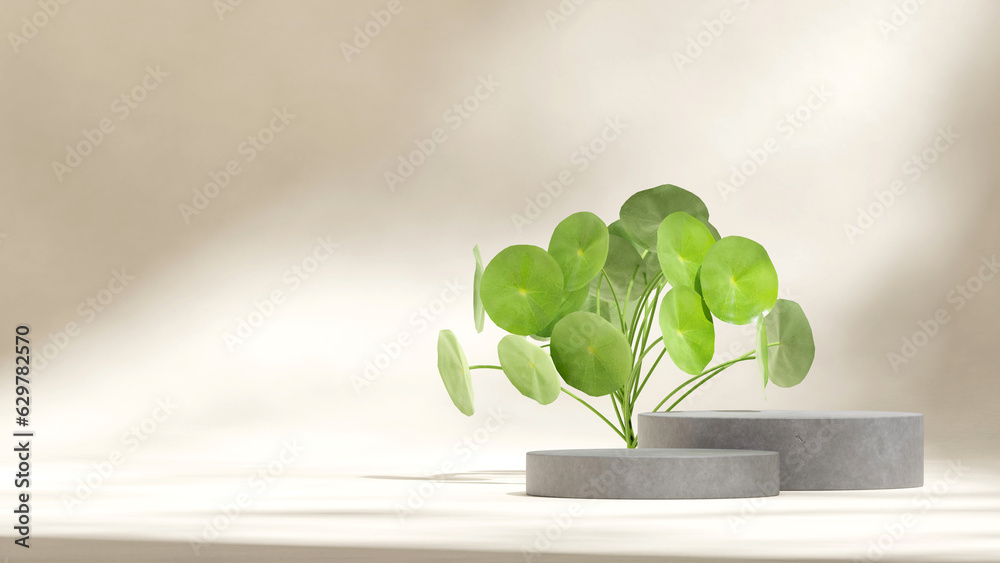 green leaf peperomia plant and beige wall, 3d render blank mockup gray concrete podium in landscape