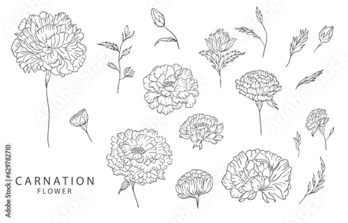 flower collection with line carnation element.Vector illustration for icon,sticker,printable,tattoo