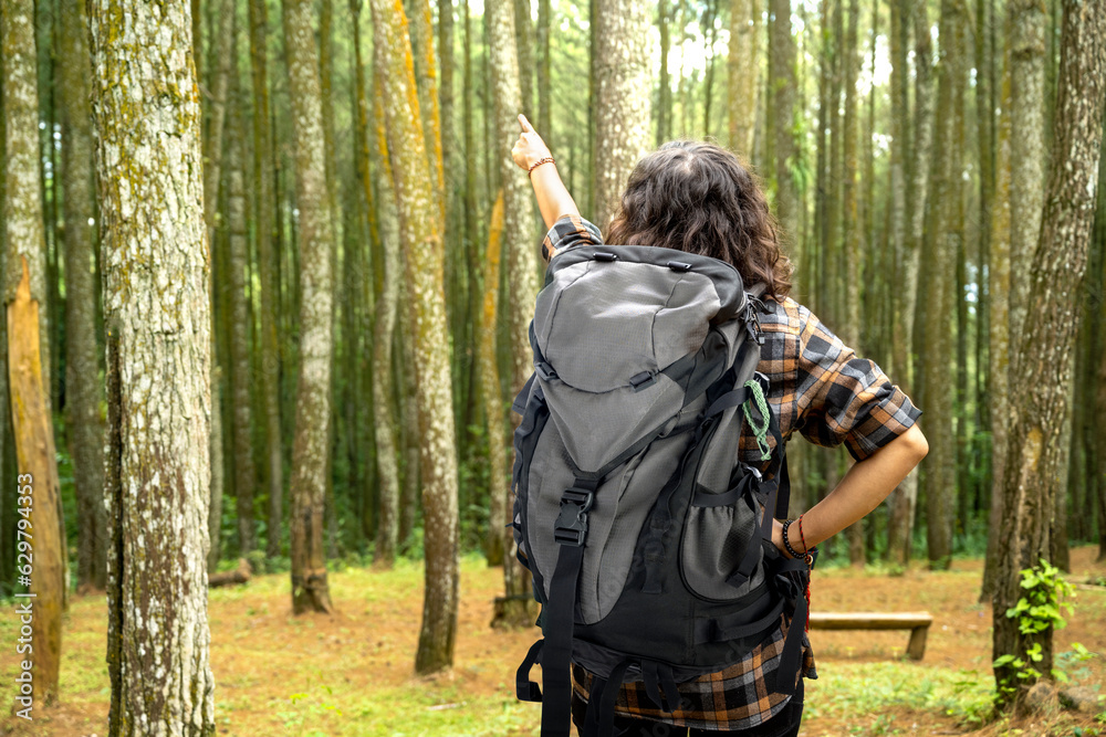 Rear view of an Asian woman trekking in the forest while pointing to something