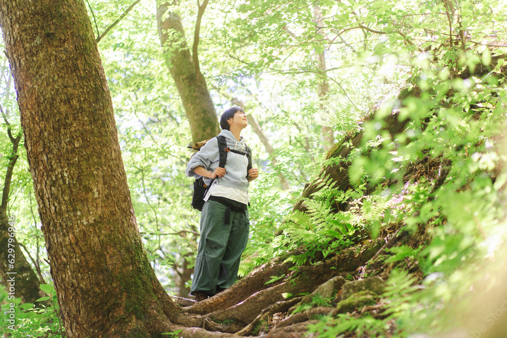 新緑の山を登山する若い日本人女性 新緑の山を登山する若い日本人女性