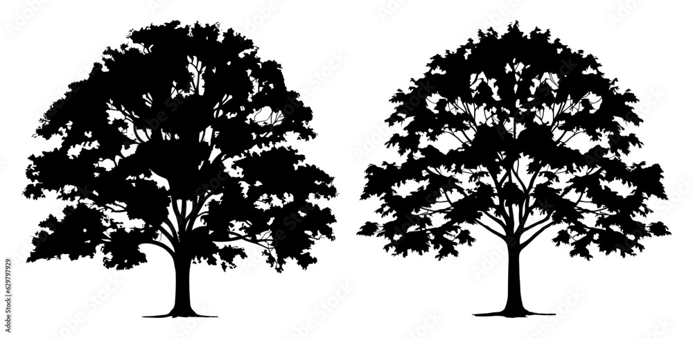 Samolepka maple tree silhouette set illustration