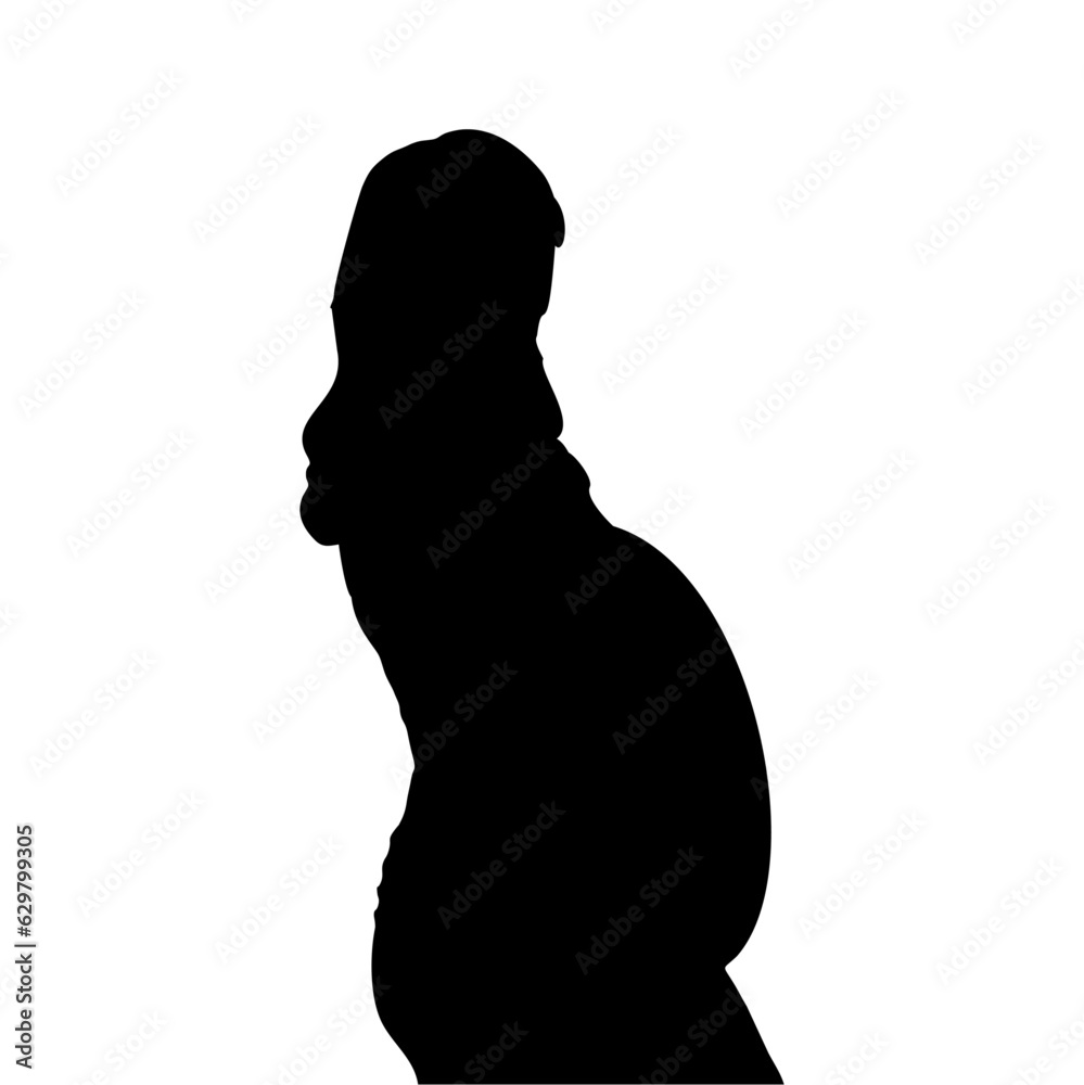 silhouette of pregnant woman on white background silhouette of pregnant woman on white background