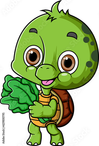 Turtle farmer cartoon holding vegetable