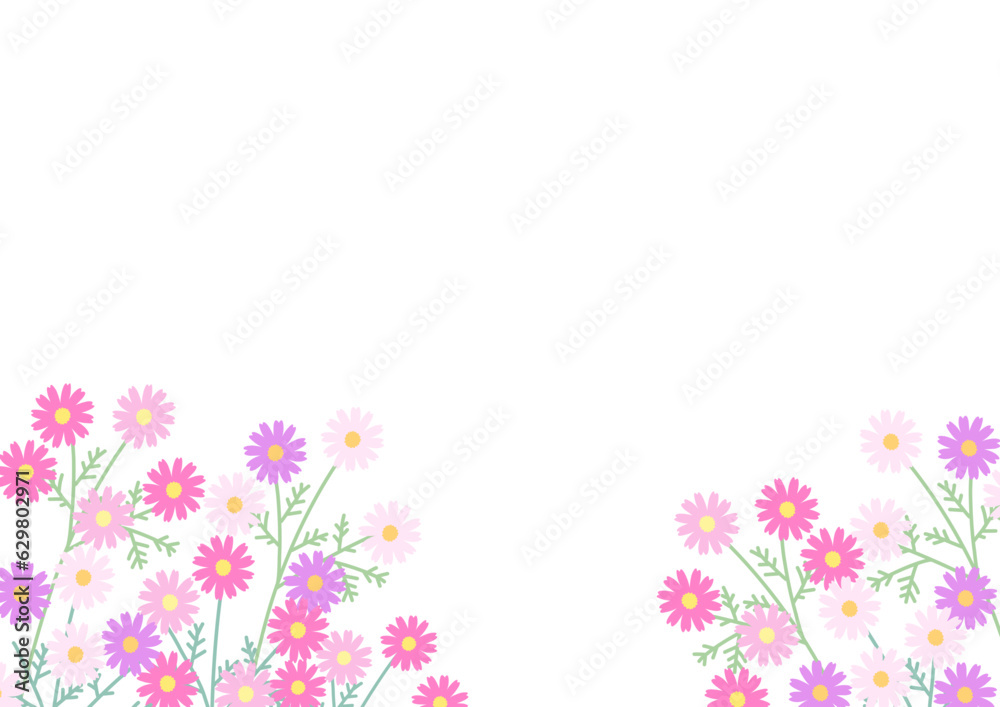 コスモスの花のイラスト背景素材