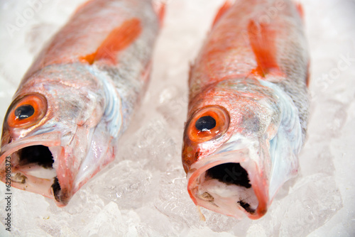 のどぐろ　アカムツ