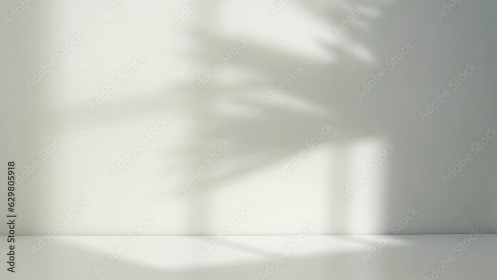 empty white room with palm leaf shadow empty white room with palm leaf shadow