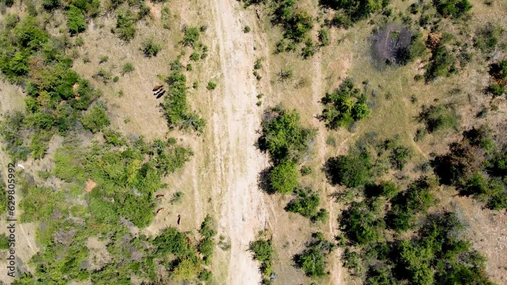 Aerial drone view of Africa. kenya drone view in the rural settlement of Africa. Climate change effects in Africa climate- Nature. Aerial drone view of Africa. kenya drone view in the rural settlement of Africa. Climate change effects in Africa climate- Nature.