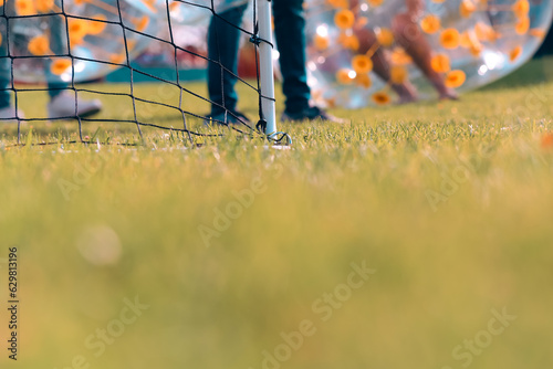 ball on the grass