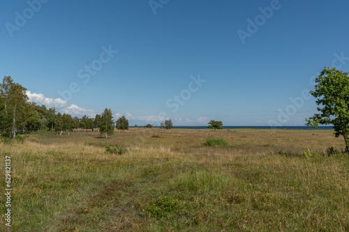 Landsacape in island Abruka, Estonia