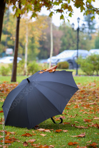 umbrella in autumn