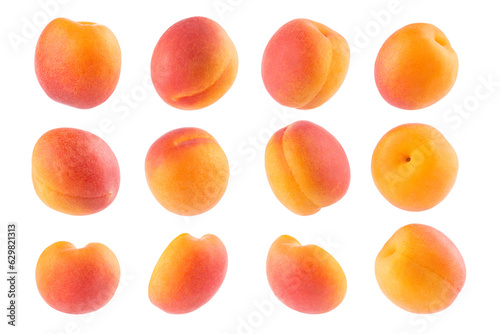 Ripe orange apricot with pink side - rich set, whole fruit, different sides isolated on white background. Summer fresh juicy fruits as design elements.