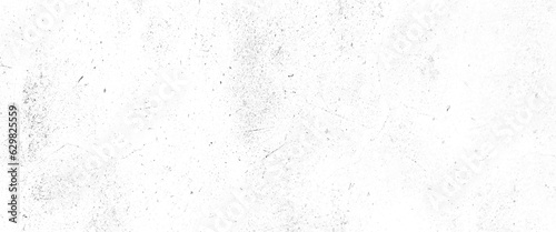 Abstract texture dust particle and dust grain on white background, black and white vintage scratched grunge isolated on background, Vector grunge black and white background illustration.