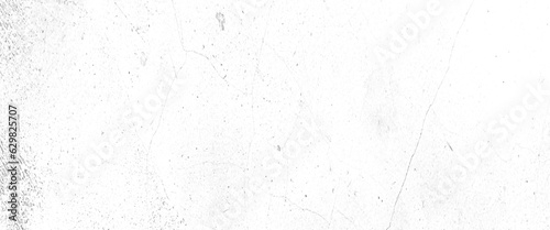 Abstract texture dust particle and dust grain on white background, black and white vintage scratched grunge isolated on background, Vector grunge black and white background illustration.