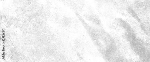 Abstract texture dust particle and dust grain on white background, black and white vintage scratched grunge isolated on background, Vector grunge black and white background illustration.