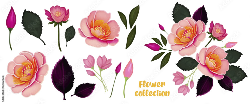 Floral branches vector set. Pink rose flower, green leaves. Floral poster, invitation
