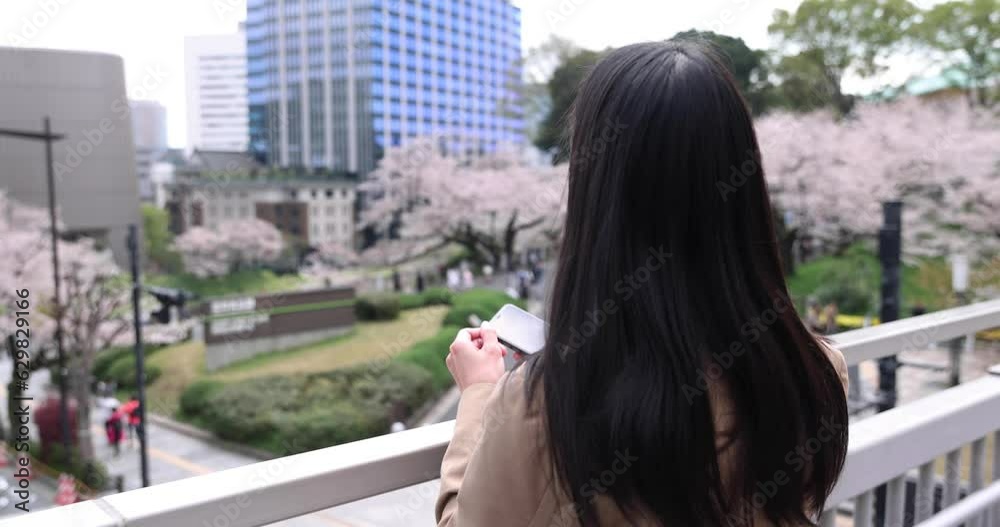 A portrait of Japanese woman shooting by smartphone behind cherry blossom A portrait of Japanese woman shooting by smartphone behind cherry blossom
