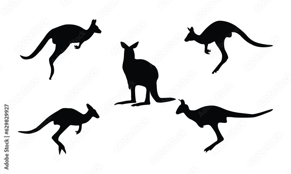 collection of kangaroo silhouette. kangaroo silhouette