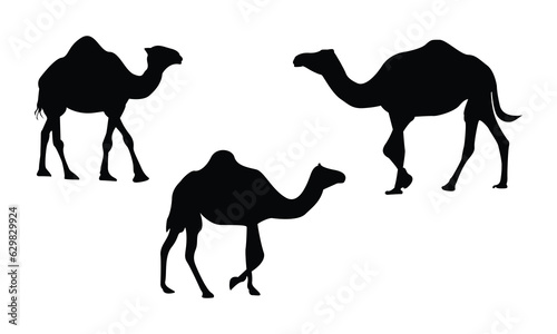 Silhouettes of camel-vector