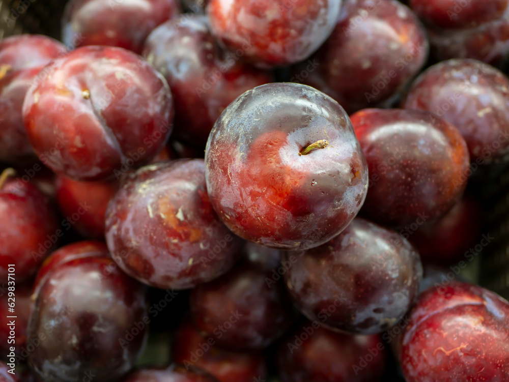 A pile of red plum fruits Prunus americana in the supermarket A pile of red plum fruits Prunus americana in the supermarket