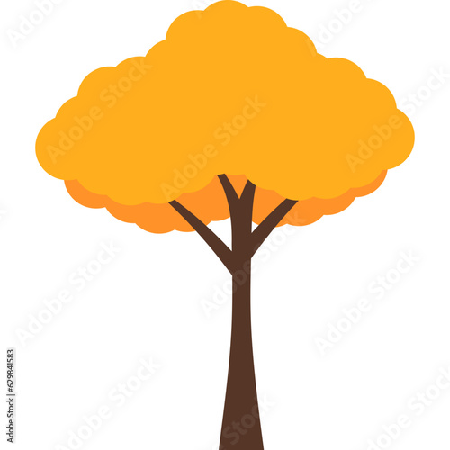 Autumn Tree