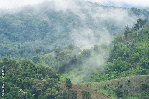 Beautiful scenery of mountainous area which overed with fog on mountain top in dark green tone
