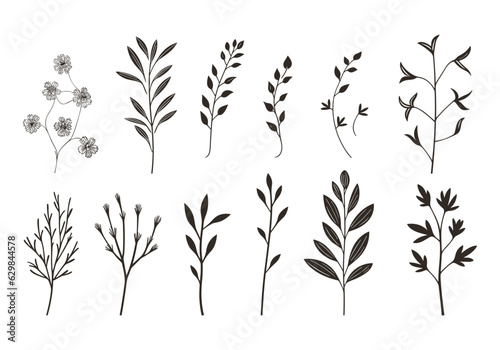 Set of hand drawn various herbs. Vector illustration isolated on white background