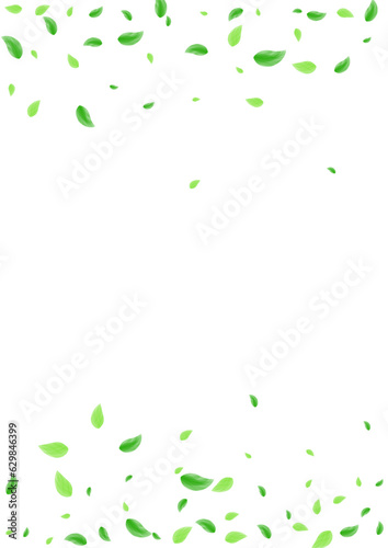 Greenish Greenery Background White Vector. Sheet Flavor Illustration. Eco Frame. Light Green Clear Design. Leaves Vivid.
