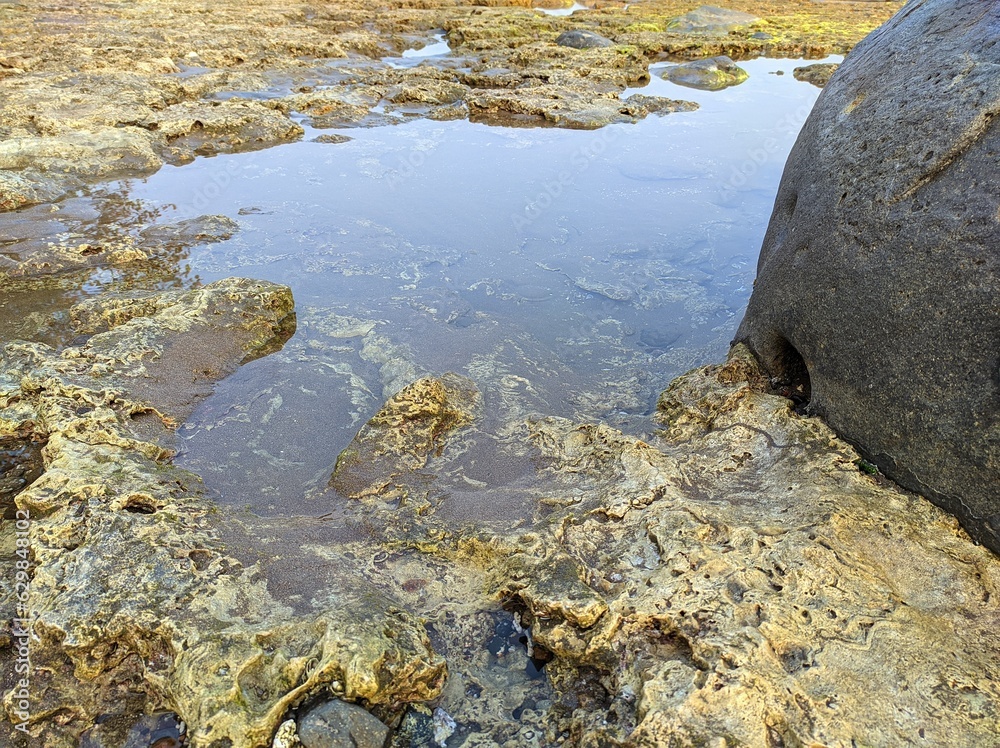 Puddles of clear sea water over the seaside reef. Low tide