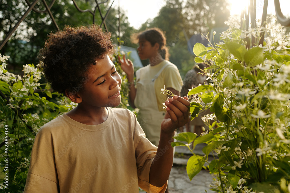 Obraz premium Cute smiling African American boy enjoying smell of blooming bush with tiny white flowers while standing in front of camera during stroll