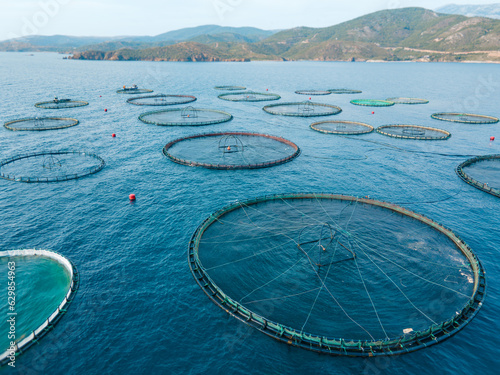 Aerial drone footage of aquaculture fish farming unit of sea bass and sea bream in growing cages in calm deep waters
