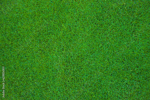 overhead of the green grass of a soccer field or golf course for background or texture.Green grass in the stadium